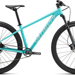 Rockhopper Expert 29