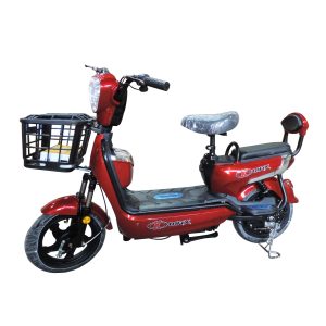 MOTO ELÉCTRICA MAX 350 48V 12AH